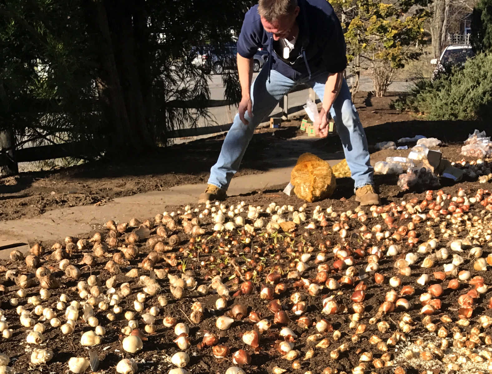 Horticultural Tips