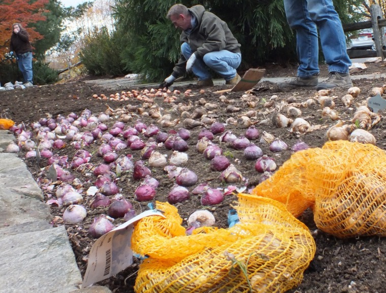 Fall Planting Once Ground Is 55°F
