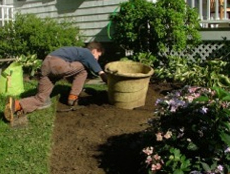 Lightly Tamp Down the Planting Surface
