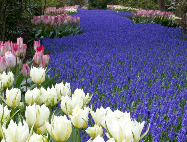 Never Plant Bulbs in Exterior Containers or Raised Beds